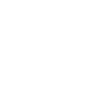 VIP-265